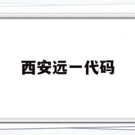西安远一代码(西安源代码软件技术服务有限公司)