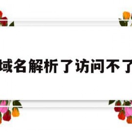 域名解析了访问不了(域名解析访问不了换个域名就可以)