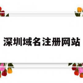 深圳域名注册网站(深圳域网科技有限公司)