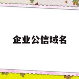 企业公信域名(公司域名注册有什么规定和特点)