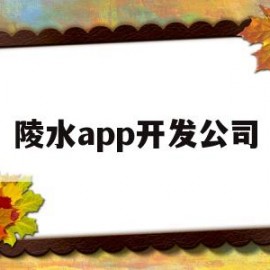 陵水app开发公司(海南陵水信息产业园)