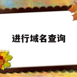 进行域名查询(进行域名查询的命令)
