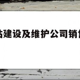 网站建设及维护公司销售明细(网站建设及维护公司销售明细怎么写)