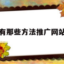 有那些方法推广网站(五种常用的网站推广方法)