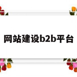 网站建设b2b平台(自建网站b2b企业的网站设计特点)