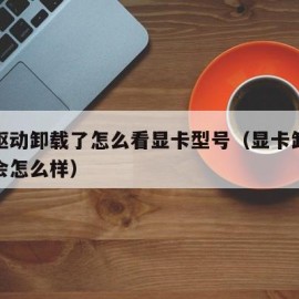 显卡驱动卸载了怎么看显卡型号（显卡卸载了驱动会怎么样）