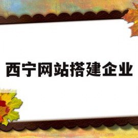 西宁网站搭建企业(西宁网站搭建企业名单)
