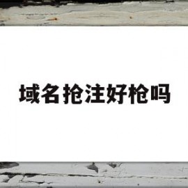 域名抢注好枪吗(域名抢注什么意思)