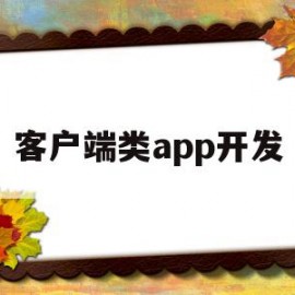 客户端类app开发(客户端开发是什么意思啊)