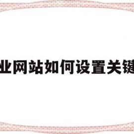 企业网站如何设置关键词(seo怎么样设置网页的关键字)