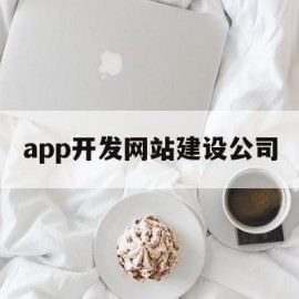 app开发网站建设公司(app开发网站建设公司怎么样)