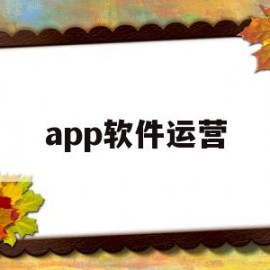 app软件运营(app软件运营招标)