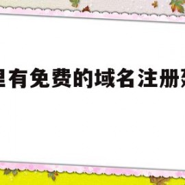 哪里有免费的域名注册建网站(哪里有免费的域名注册建网站的平台)