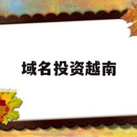 域名投资越南(域名投资大多数人亏本)