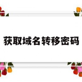 获取域名转移密码(域名转移要钱吗)