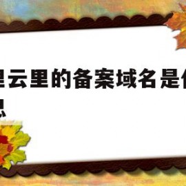 关于阿里云里的备案域名是什么意思的信息