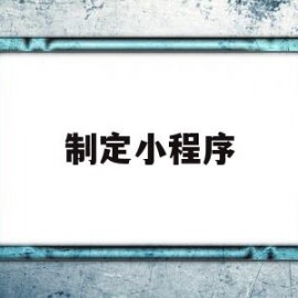 制定小程序(小程序的制作流程)