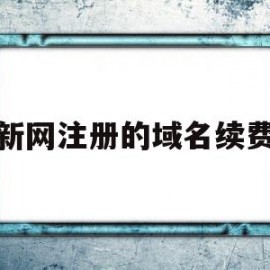 新网注册的域名续费(网络域名续费一年多少钱)