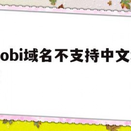 mobi域名不支持中文域名的简单介绍