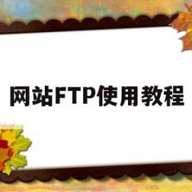 网站FTP使用教程(ftp的网址怎么打开)