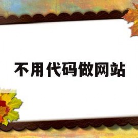 不用代码做网站(不用写代码就能开发软件)