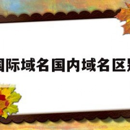 国际域名国内域名区别(国内域名和国际域名的申请注册过程)