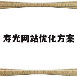 寿光网站优化方案(网站优化方案PPT)