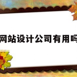 网站设计公司有用吗(有哪些网站设计比较好的公司)