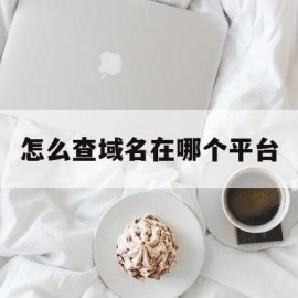怎么查域名在哪个平台(怎么查域名在哪个平台注册的)