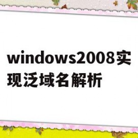 windows2008实现泛域名解析的简单介绍