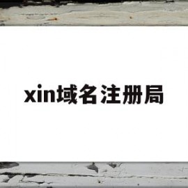 xin域名注册局(域名注册管理中心网站)