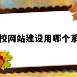 学校网站建设用哪个系统(学校网站建设用哪个系统好)