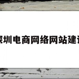深圳电商网络网站建设(深圳电商网络网站建设公司)