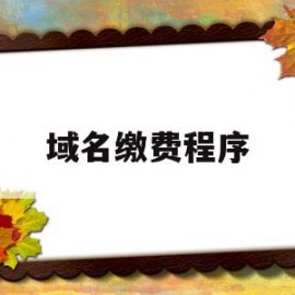 域名缴费程序(域名费怎么入账)