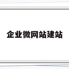 企业微网站建站(企业官网建站推荐)