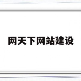 网天下网站建设(天下网创始人)