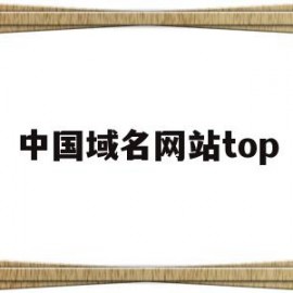 中国域名网站top(中国域名网站数量最多的是)