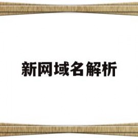 新网域名解析(新网域名解析设置)