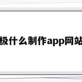 极什么制作app网站(什么软件可以制作App)