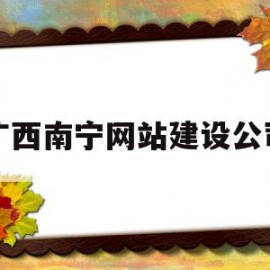 广西南宁网站建设公司(南宁公司官网建站)