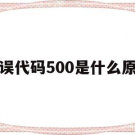 错误代码500是什么原因(错误代码50013什么意思)