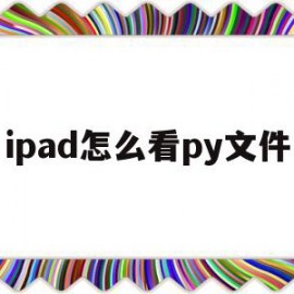 ipad怎么看py文件(如何在ipad上查看文件)