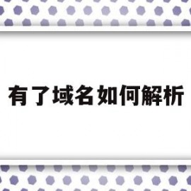 有了域名如何解析(域名要怎么解析)