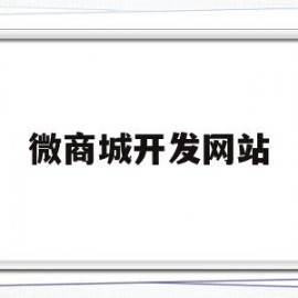 微商城开发网站(微商城开发需要多少钱)