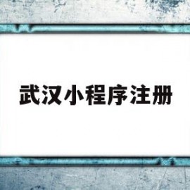 武汉小程序注册(武汉小程序注册公司流程)