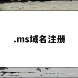 .ms域名注册(name注册域名)