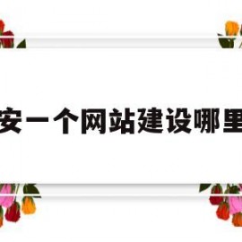 宝安一个网站建设哪里好(宝安区互联网公司)