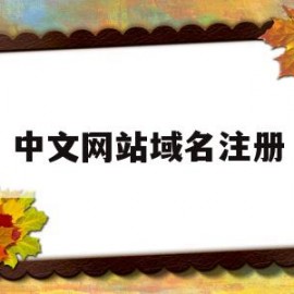 中文网站域名注册(中文网址域名注册多少费用)