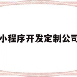 小程序开发定制公司(小程序开发定制公司怎么样)