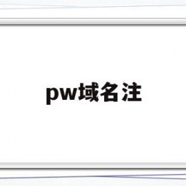 pw域名注(域名注册org)